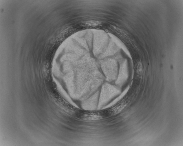 X0000066960559200604211844