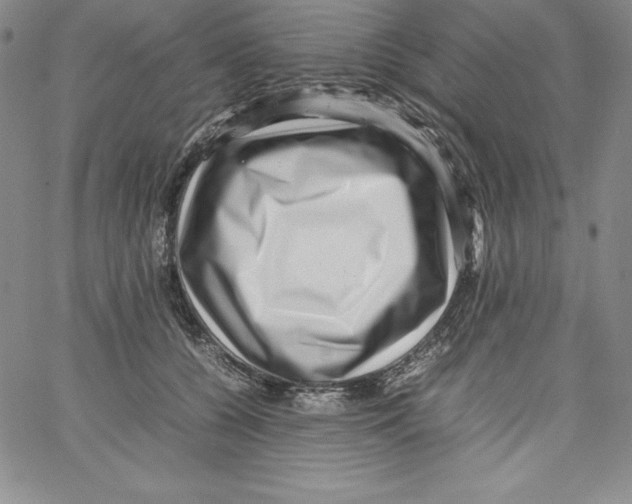 X0000066960560200604211844