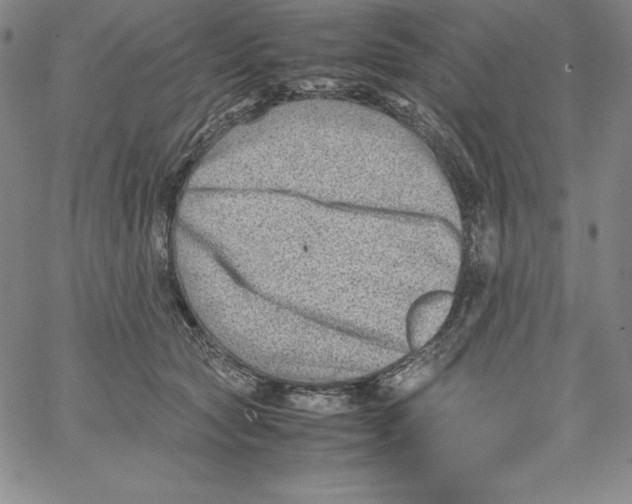 X0000066960561200604211844