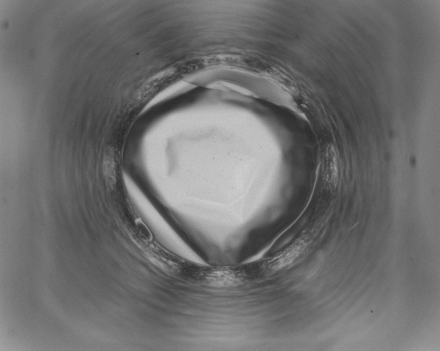 X0000066960562200604211844