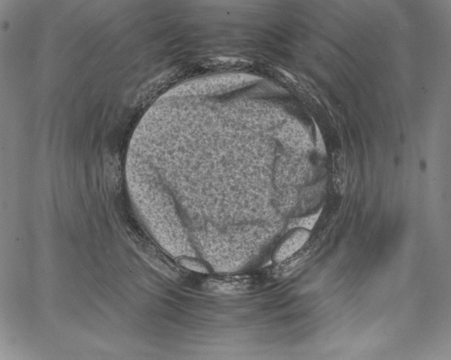 X0000066960563200604211844