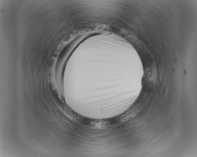 X0000066960564200604211844