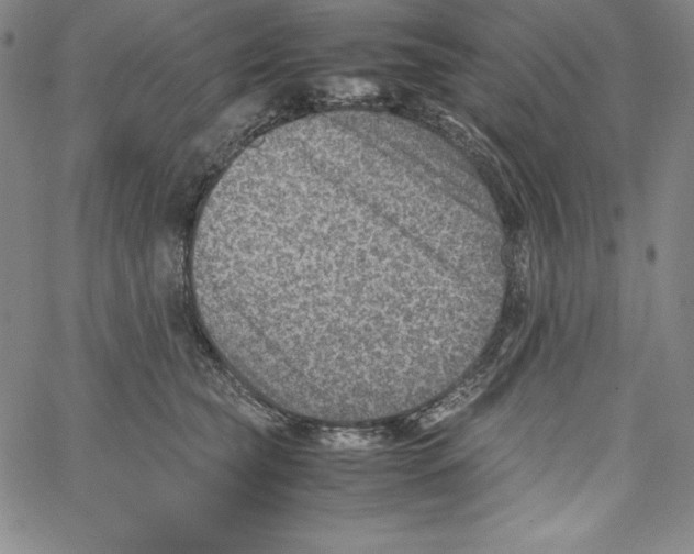 X0000066960565200604211844