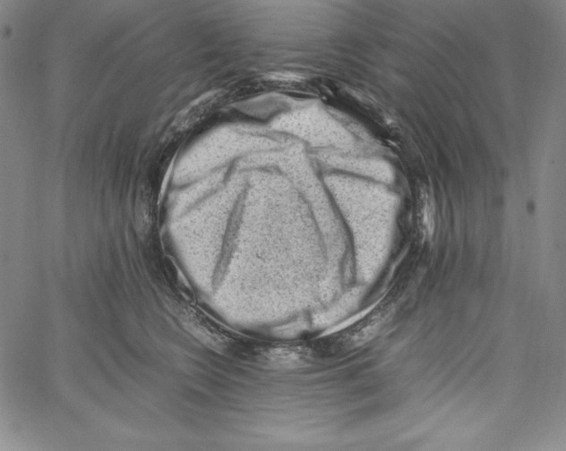 X0000066960566200604211844