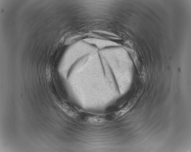 X0000066960568200604211844