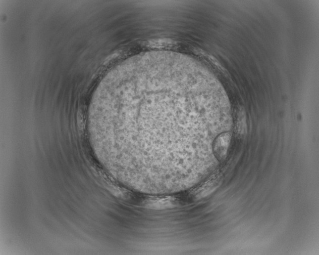 X0000066960569200604211844