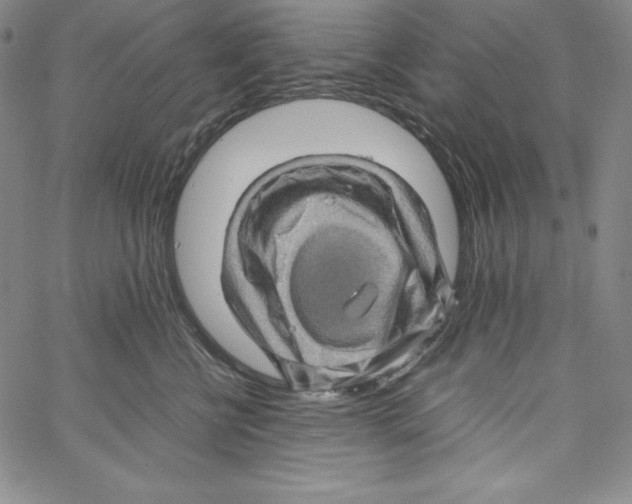 X0000066960570200604211844