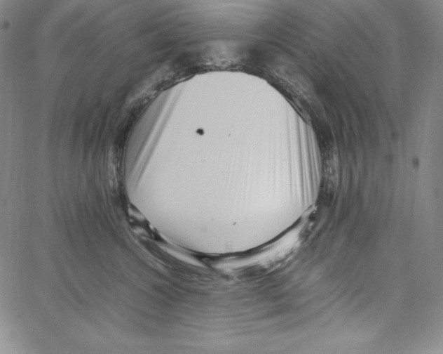 X0000066960572200604211844