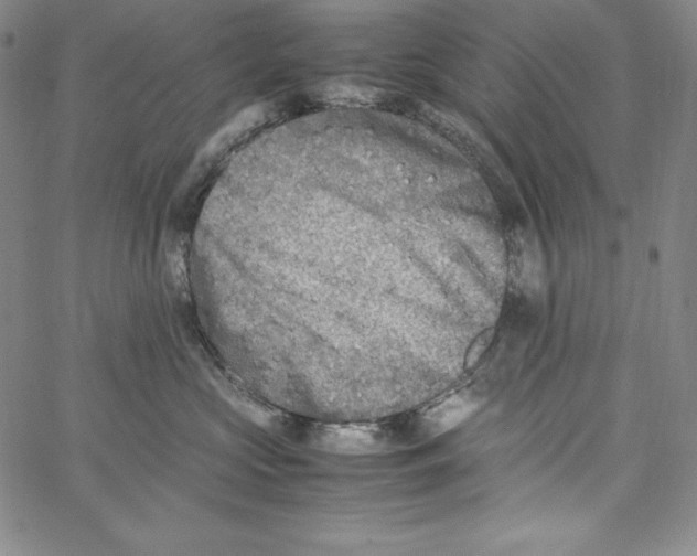 X0000066960573200604211844