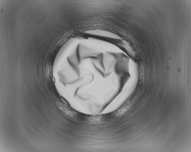 X0000066960574200604211844