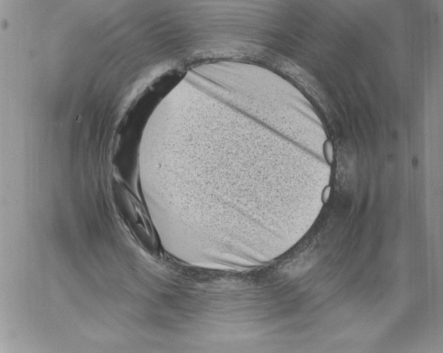 X0000066960578200604211843