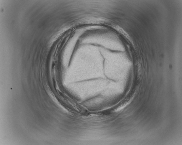 X0000066960581200604211843