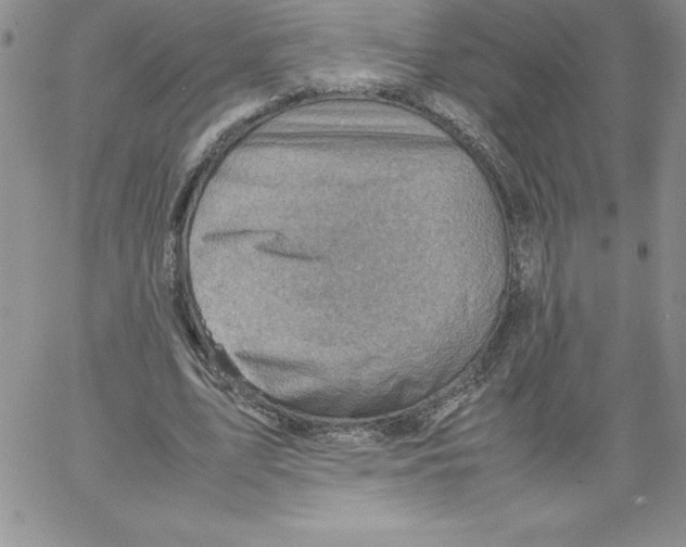 X0000066960583200604211843