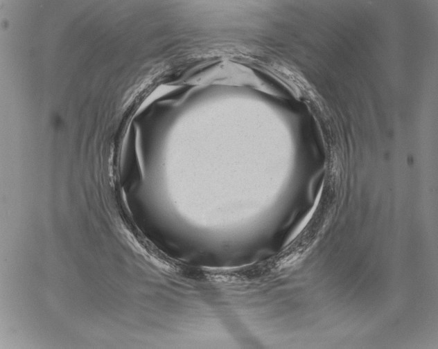 X0000066960585200604211843