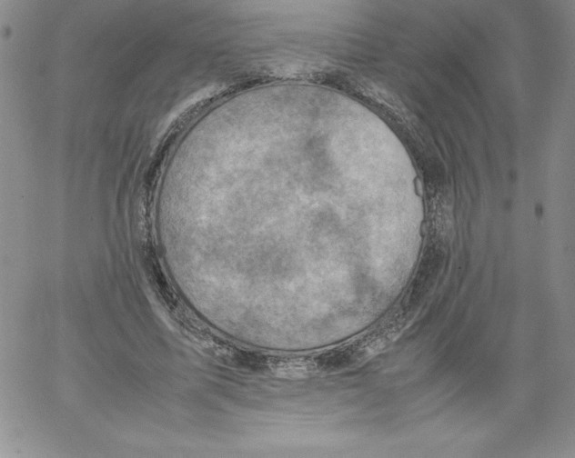 X0000066960587200604211843