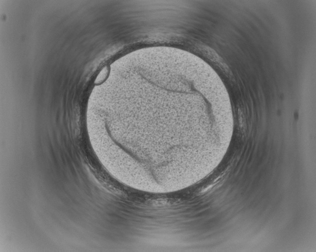 X0000066960588200604211843