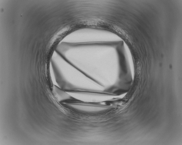 X0000066960589200604211843