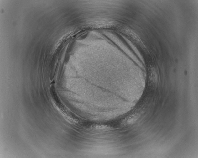 X0000066960590200604211843