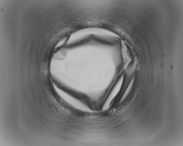 X0000066960593200604211843