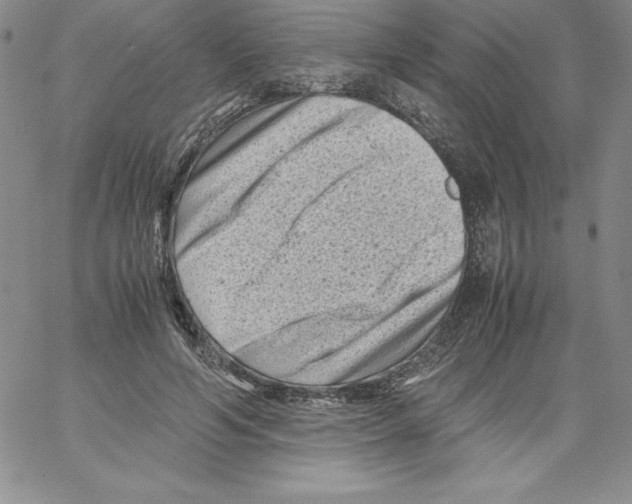 X0000066960594200604211843