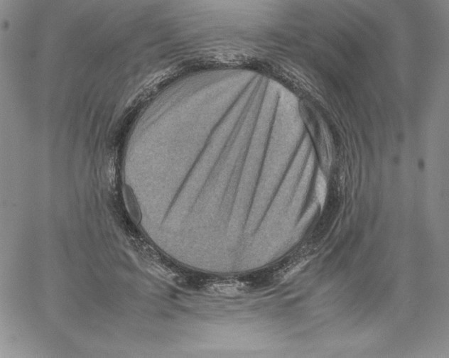 X0000066960595200604211843