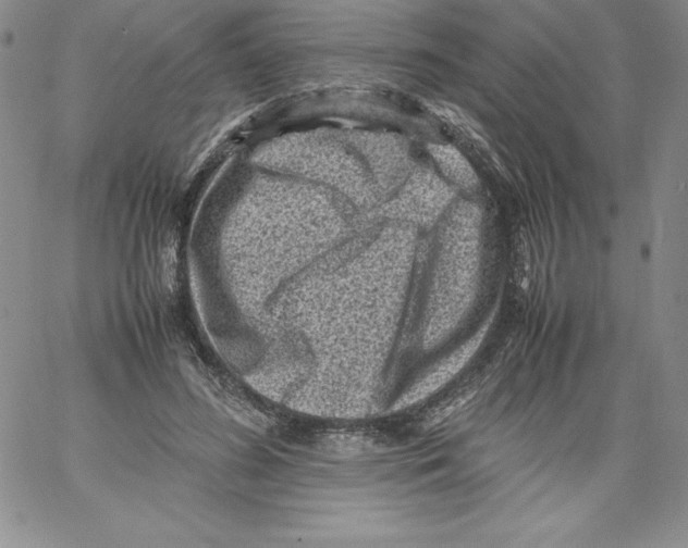 X0000066960596200604211843