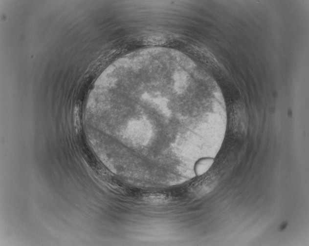 X0000066960598200604211843