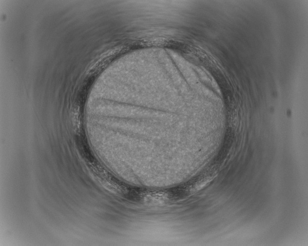 X0000066960599200604211843