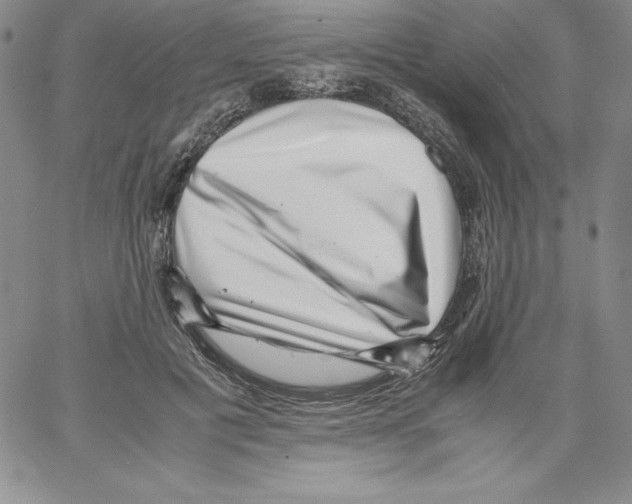 X0000066960601200604211843