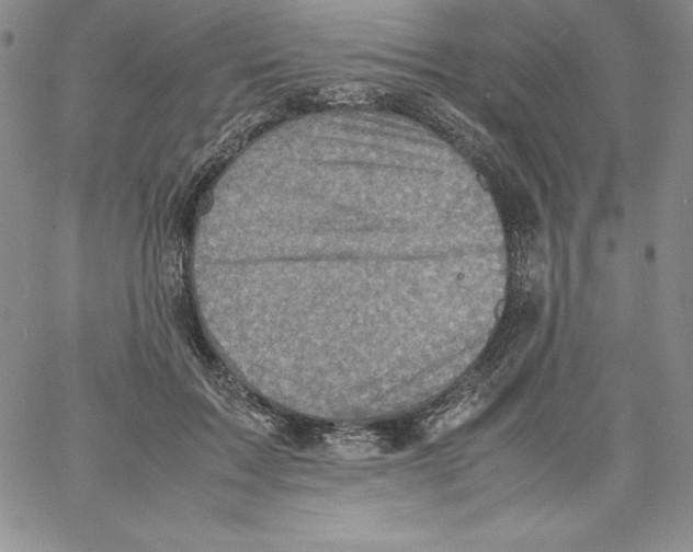 X0000066960603200604211843