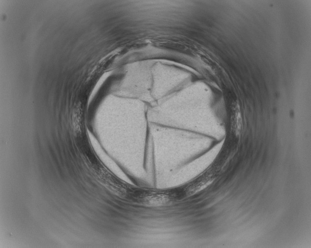 X0000066960604200604211843