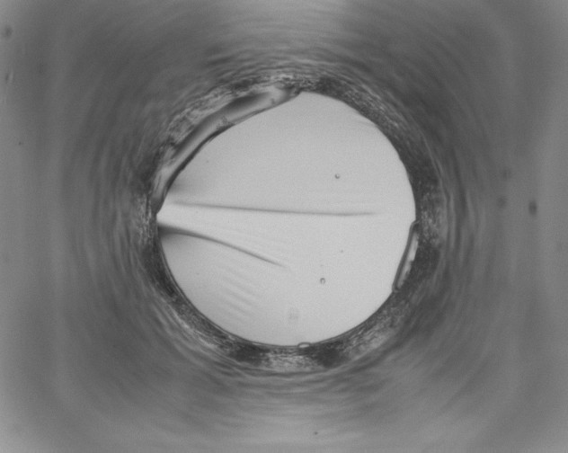 X0000066960605200604211843