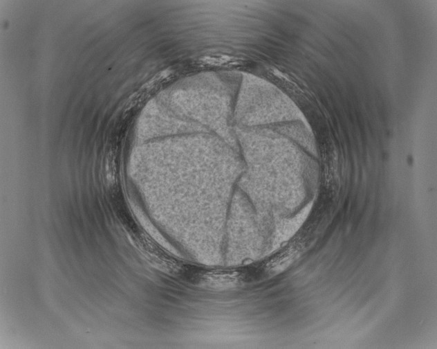 X0000066960606200604211843