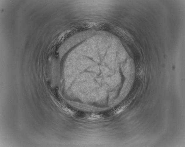 X0000066960607200604211843