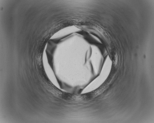 X0000066960613200604211843