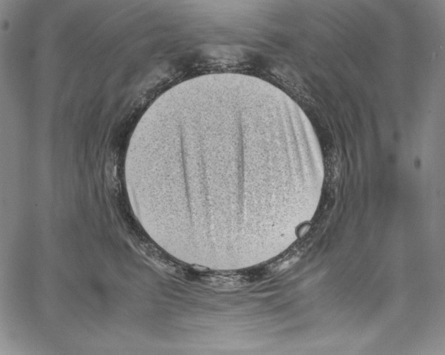 X0000066960615200604211843