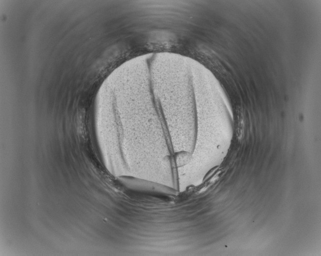 X0000066960616200604211843