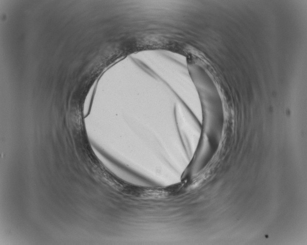 X0000066960617200604211843