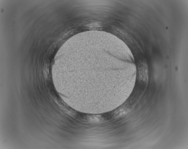 X0000066960618200604211843