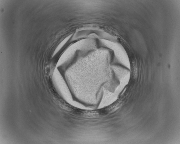 X0000066960619200604211843