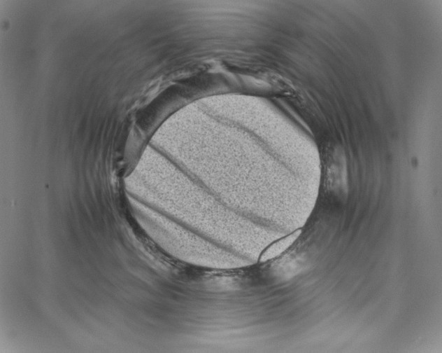 X0000066960620200604211843