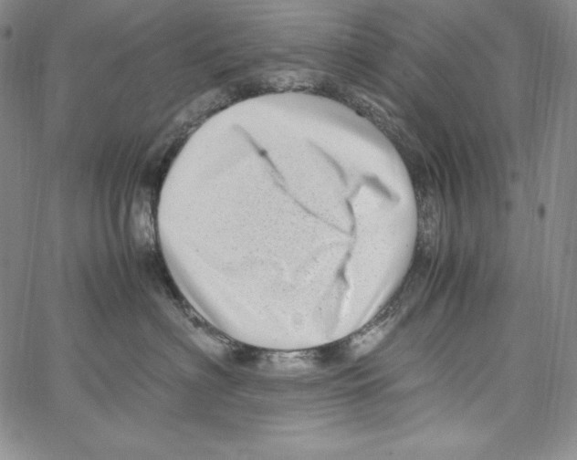 X0000066960622200604211843