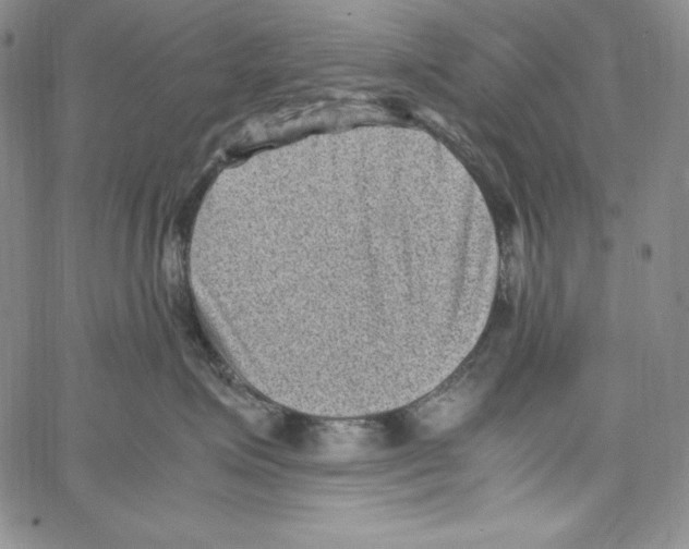 X0000066960623200604211843