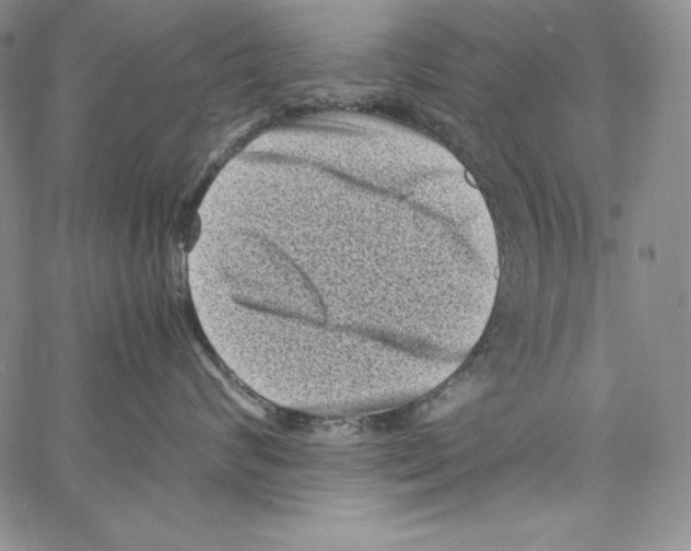 X0000066960624200604211843