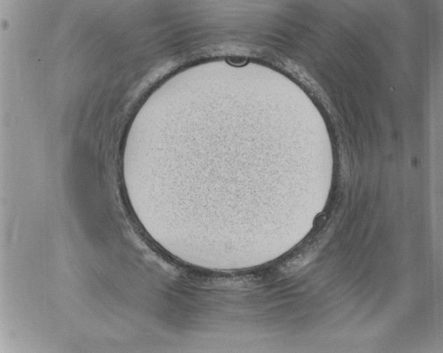 X0000066960625200604211842