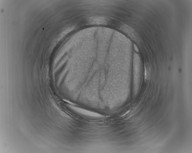 X0000066960627200604211842