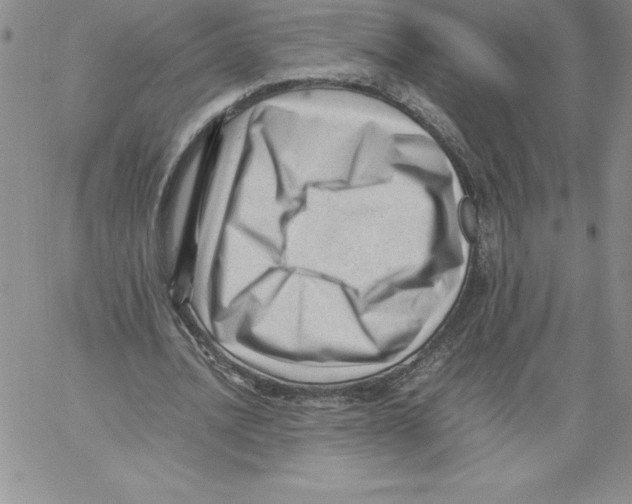 X0000066960628200604211842