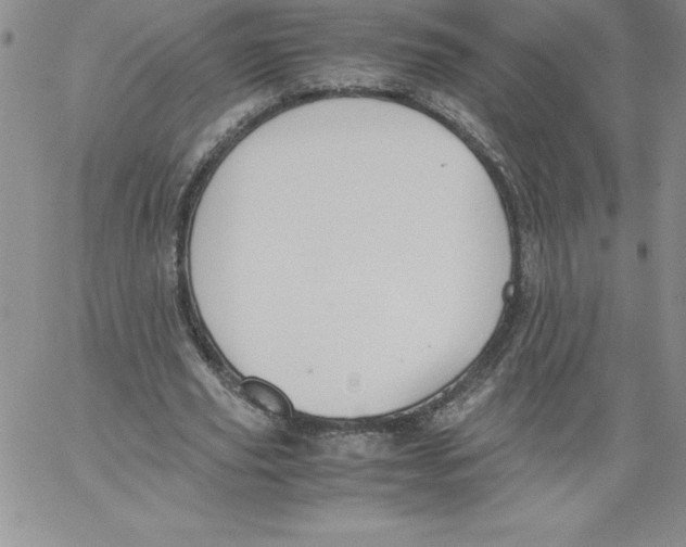 X0000066960629200604211842