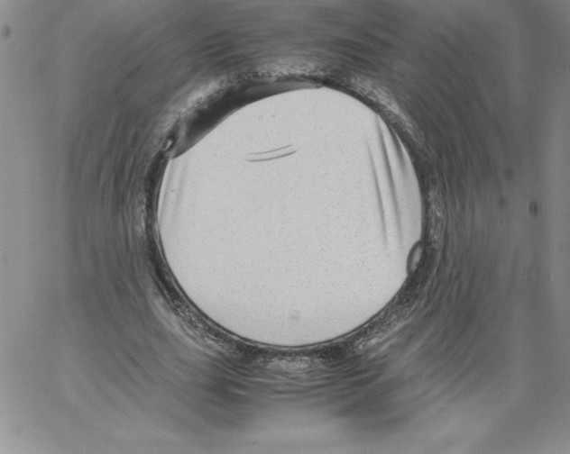 X0000066960631200604211842