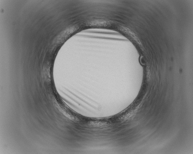 X0000066960633200604211842